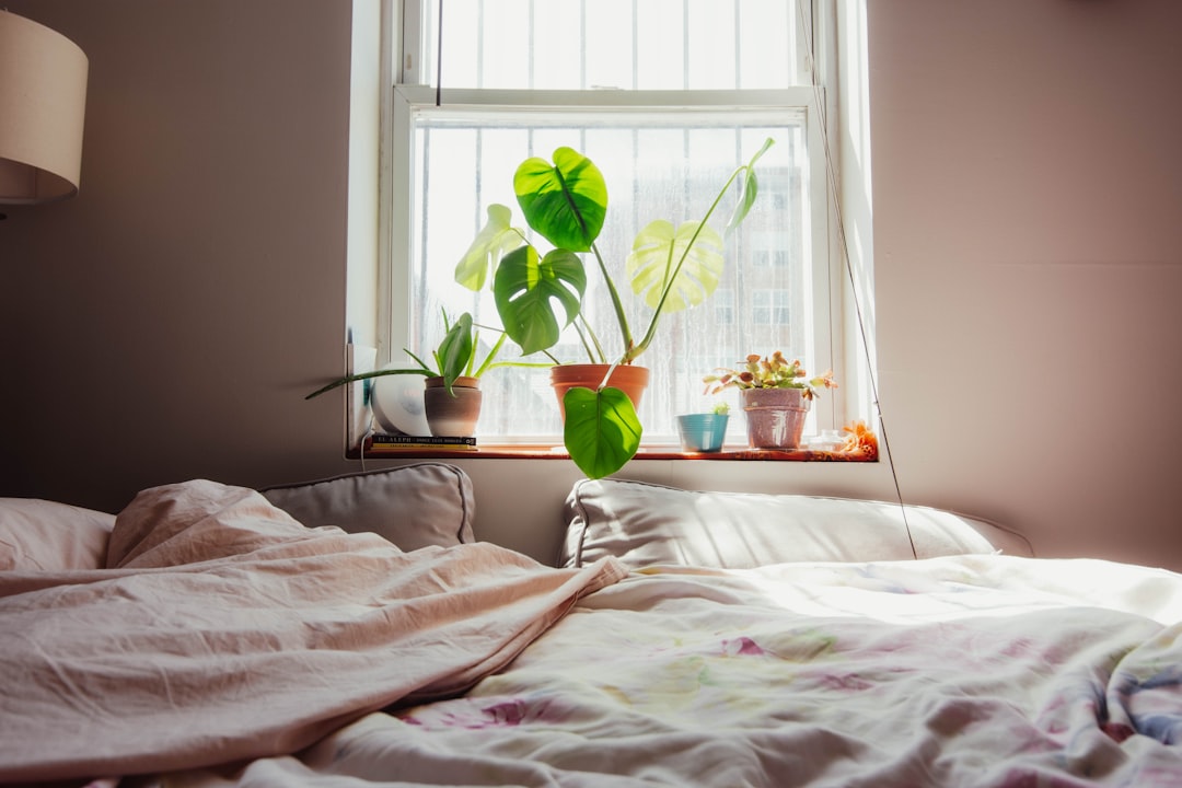 Rust en stijl: slaapkamer inspiratie voor elk huis