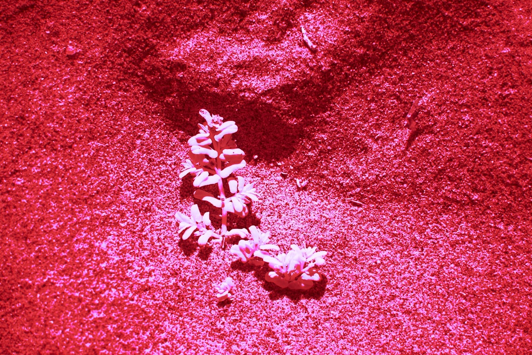 De schaduwzijde van een microcement vloer: wat je moet weten